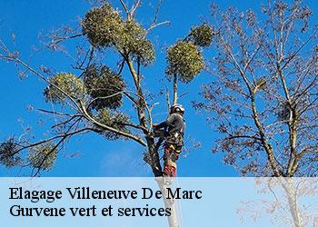 Elagage  villeneuve-de-marc-38440 Gurvene vert et services