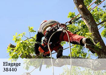 Elagage  38440