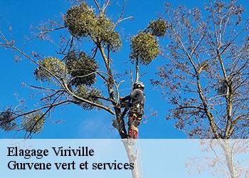 Elagage  viriville-38980 Gurvene vert et services