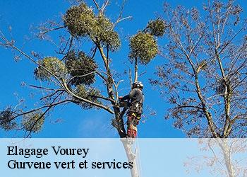 Elagage vourey-38210 Gurvene vert et services