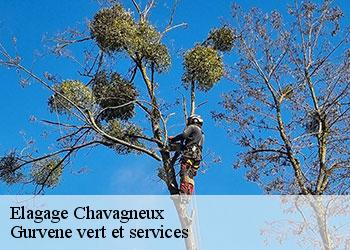 Elagage chavagneux-38230 Gurvene vert et services