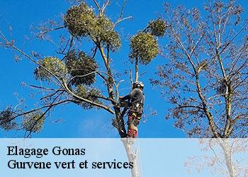 Elagage  gonas-38290 Gurvene vert et services