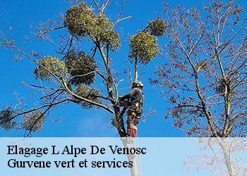 Elagage  l-alpe-de-venosc-38860 Gurvene vert et services