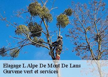 Elagage l-alpe-de-mont-de-lans-38860 Gurvene vert et services