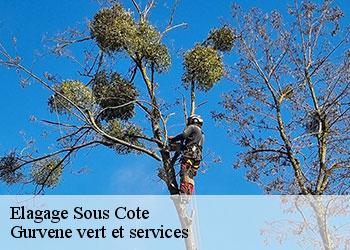Elagage  sous-cote-38780 Gurvene vert et services