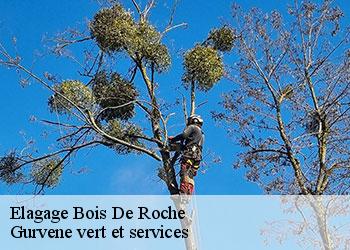 Elagage  bois-de-roche-38090 Gurvene vert et services