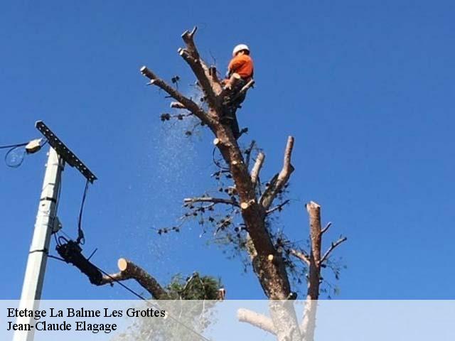 Etetage  la-balme-les-grottes-38390 Jean-Claude Elagage