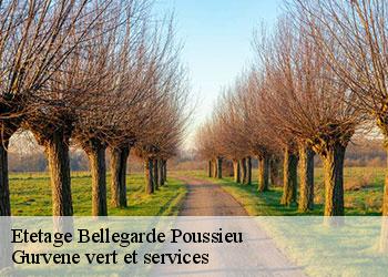 Etetage bellegarde-poussieu-38270 Gurvene vert et services