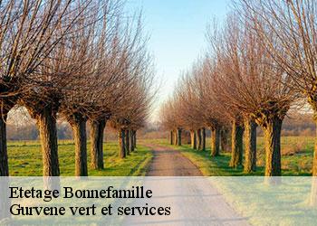 Etetage bonnefamille-38090 Gurvene vert et services