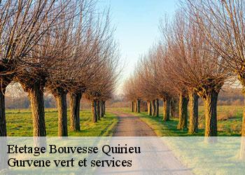 Etetage  bouvesse-quirieu-38390 Gurvene vert et services
