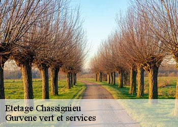 Etetage  chassignieu-38730 Gurvene vert et services