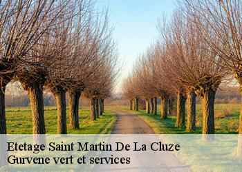 Etetage saint-martin-de-la-cluze-38650 Gurvene vert et services