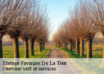 Etetage faverges-de-la-tour-38110 Gurvene vert et services