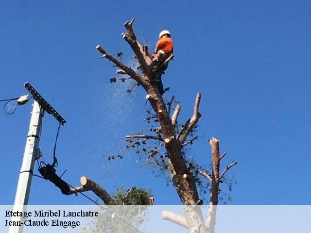 Etetage miribel-lanchatre-38450 Jean-Claude Elagage