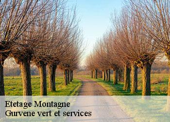 Etetage montagne-38160 Gurvene vert et services