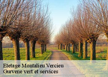 Etetage  montalieu-vercieu-38390 Gurvene vert et services