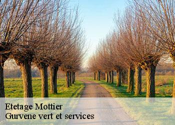 Etetage  mottier-38260 Gurvene vert et services