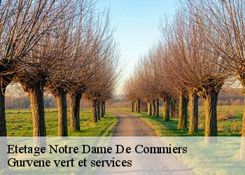 Etetage notre-dame-de-commiers-38450 Gurvene vert et services
