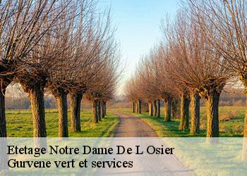 Etetage  notre-dame-de-l-osier-38470 Gurvene vert et services
