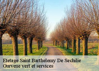 Etetage  saint-barthelemy-de-sechilie-38220 Gurvene vert et services