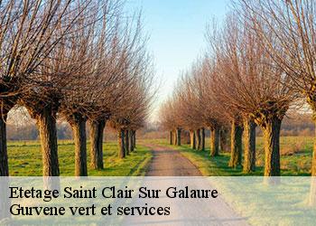 Etetage saint-clair-sur-galaure-38940 Gurvene vert et services