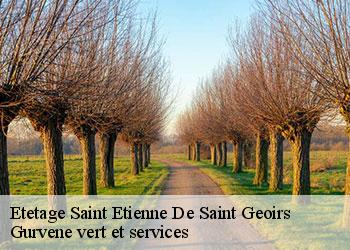 Etetage  saint-etienne-de-saint-geoirs-38590 Gurvene vert et services