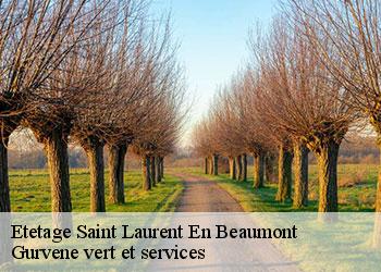 Etetage saint-laurent-en-beaumont-38350 Gurvene vert et services