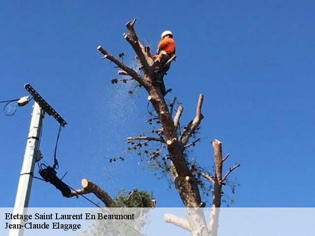 Etetage saint-laurent-en-beaumont-38350 Jean-Claude Elagage