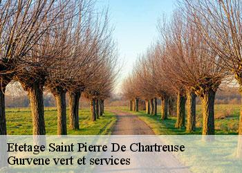 Etetage  saint-pierre-de-chartreuse-38380 Gurvene vert et services