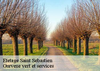 Etetage  saint-sebastien-38710 Gurvene vert et services