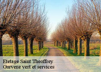 Etetage saint-theoffrey-38119 Gurvene vert et services
