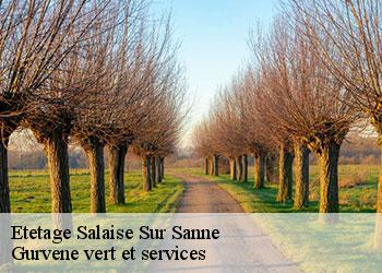 Etetage salaise-sur-sanne-38150 Gurvene vert et services
