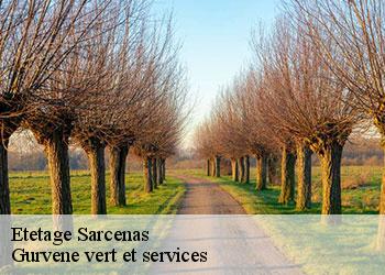 Etetage  sarcenas-38700 Gurvene vert et services