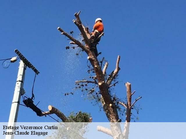 Etetage vezeronce-curtin-38510 Jean-Claude Elagage