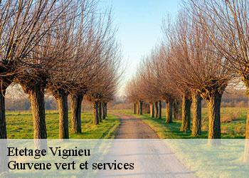 Etetage  vignieu-38890 Gurvene vert et services