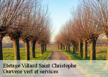 Etetage villard-saint-christophe-38119 Gurvene vert et services