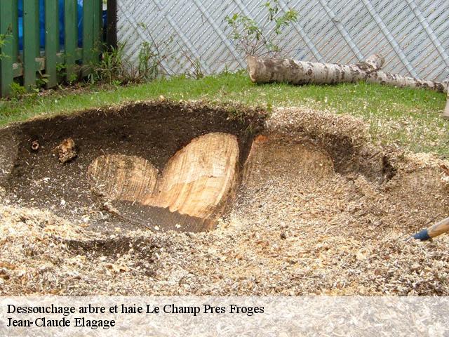 Dessouchage arbre et haie  le-champ-pres-froges-38190 Jean-Claude Elagage