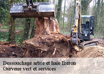 Dessouchage arbre et haie  izeron-38160 Gurvene vert et services