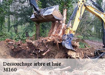 Dessouchage arbre et haie  38160