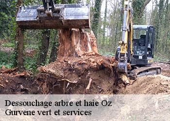 Dessouchage arbre et haie  oz-38114 Gurvene vert et services