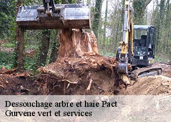 Dessouchage arbre et haie  pact-38270 Gurvene vert et services