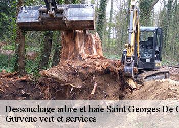 Dessouchage arbre et haie  saint-georges-de-commiers-38450 Gurvene vert et services