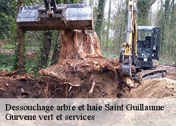 Dessouchage arbre et haie  saint-guillaume-38650 Gurvene vert et services