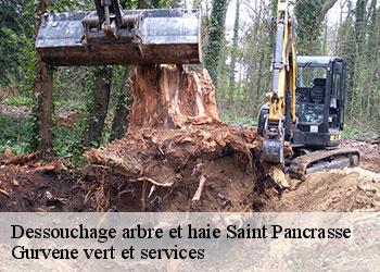 Dessouchage arbre et haie  saint-pancrasse-38660 Gurvene vert et services
