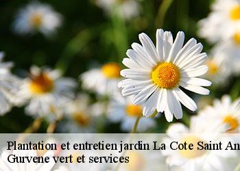 Plantation et entretien jardin  la-cote-saint-andre-38260 Gurvene vert et services