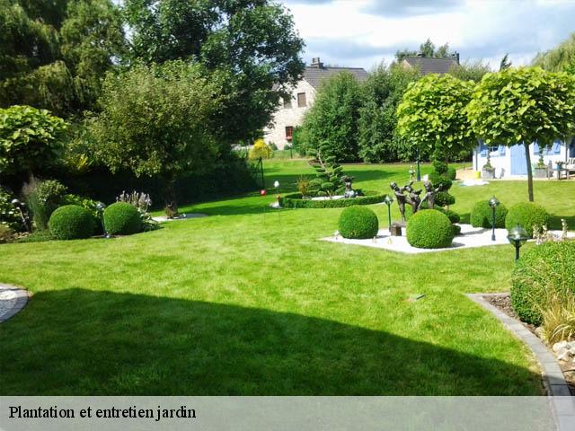 Plantation et entretien jardin