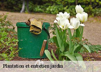 Plantation et entretien jardin