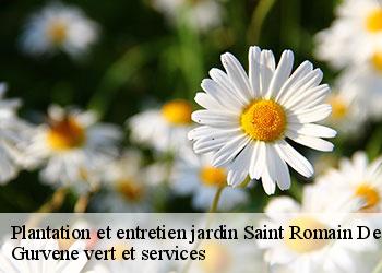 Plantation et entretien jardin saint-romain-de-jalionas-38460 Gurvene vert et services