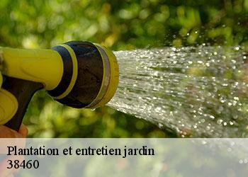 Plantation et entretien jardin 38460