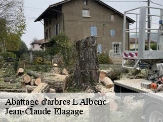 Abattage d'arbres l-albenc-38470 Jean-Claude Elagage